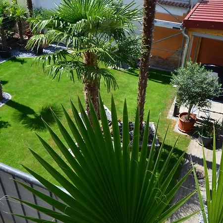 Palmgarden