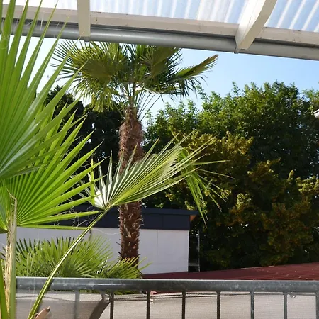 Palmgarden באד שונבורן